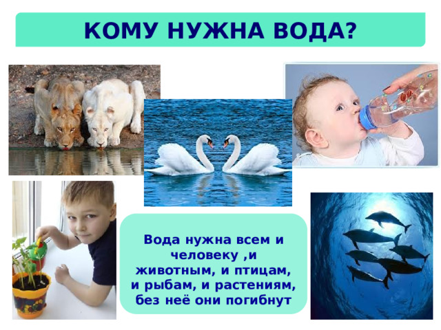 Кому нужна вода? Вода нужна всем и человеку ,и животным, и птицам, и рыбам, и растениям, без неё они погибнут 