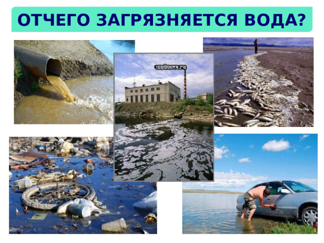 Отчего загрязняется вода? 