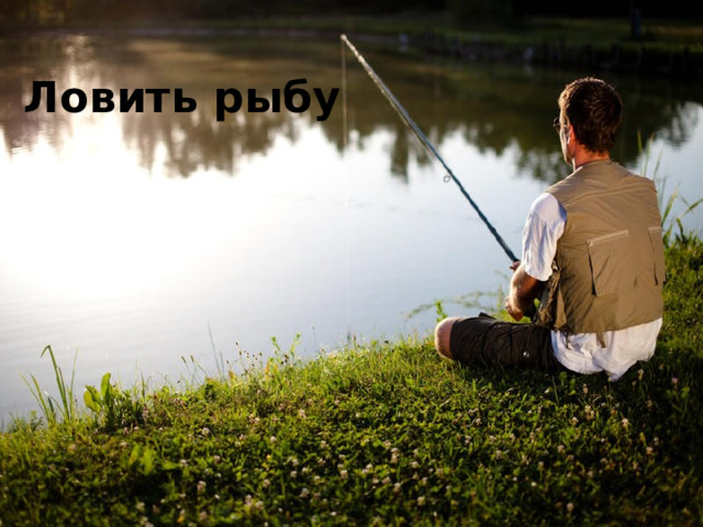 Ловить рыбу 