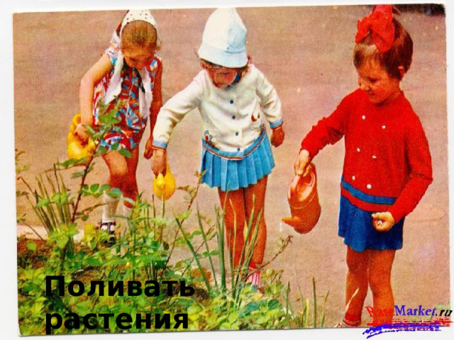 Поливать растения 