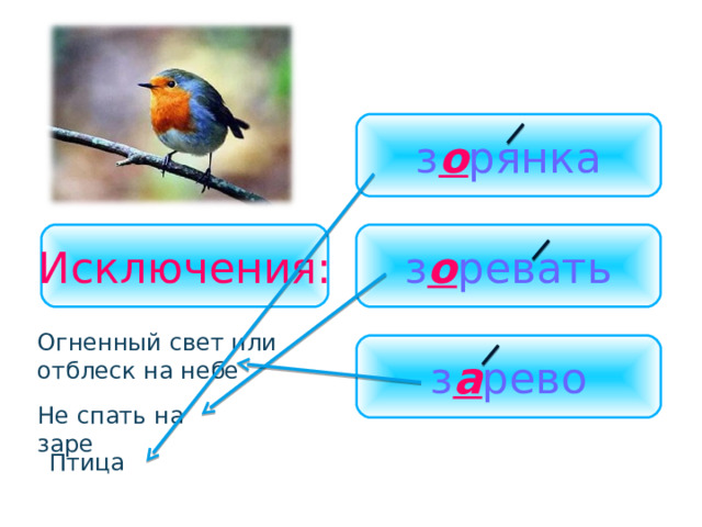 з о рянка Исключения: з о ревать Огненный свет или отблеск на небе з а рево Не спать на заре Птица 