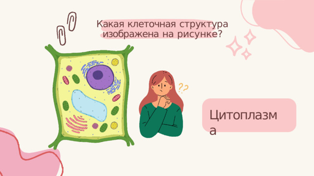 Какая  клеточная  структура изображена  на  рисунке? Цитоплазма 