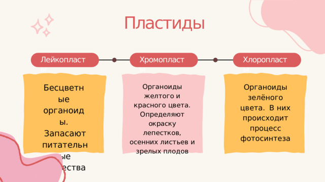 Пластиды Хлоропласты Лейкопласты Хромопласты Бесцветные органоиды. Запасают питательные вещества Органоиды зелёного  цвета.  В  них  происходит процесс фотосинтеза Органоиды  желтого  и красного  цвета. Определяют  окраску лепестков,  осенних листьев  и  зрелых плодов 