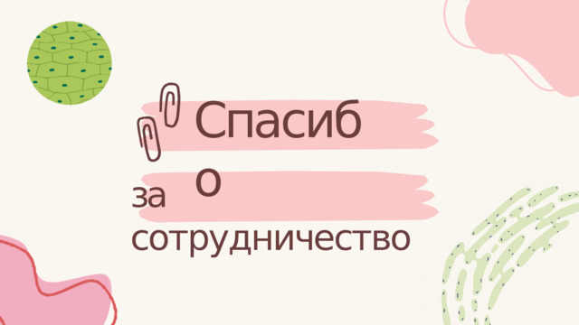 Спасибо за  сотрудничество 