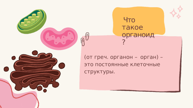 Что  такое органоид? (от  греч.  органон  –  орган)  –  это постоянные  клеточные  структуры. 
