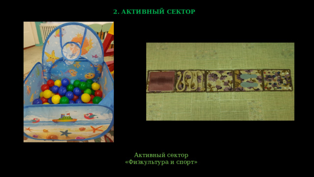 2. АКТИВНЫЙ СЕКТОР  Активный сектор «Физкультура и спорт» 