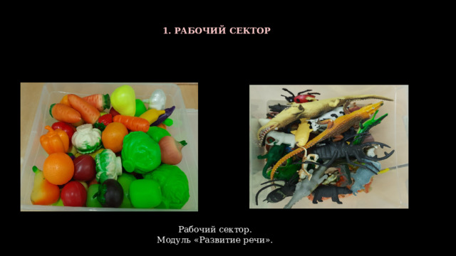1. РАБОЧИЙ СЕКТОР  Рабочий сектор. Модуль «Развитие речи». 
