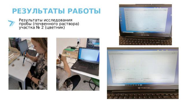 РЕЗУЛЬТАТЫ РАБОТЫ Результаты исследования пробы (почвенного раствора) участка № 2 (цветник) 