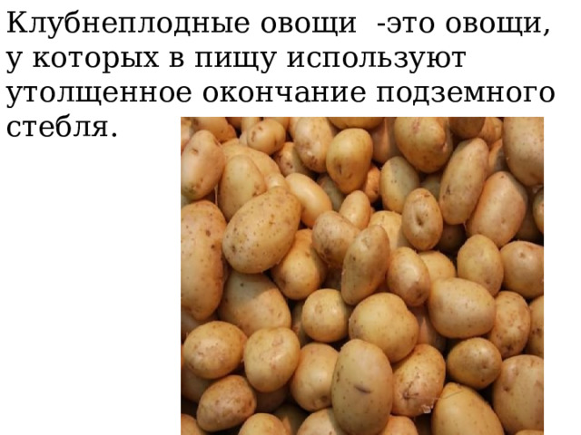 Клубнеплодные овощи -это овощи, у которых в пищу используют утолщенное окончание подземного стебля. 