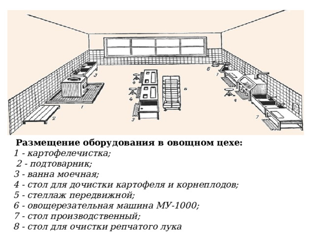  Размещение оборудования в овощном цехе:   1 - картофелечистка;  2 - подтоварник; 3 - ванна моечная; 4 - стол для дочистки картофеля и корнеплодов; 5 - стеллаж передвижной; 6 - овощерезательная машина МУ-1000; 7 - стол производственный; 8 - стол для очистки репчатого лука   