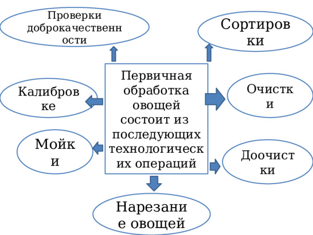Проверки доброкачественности Сортировки Первичная обработка овощей состоит из последующих технологических операций Очистки Калибровке Мойки Доочистки Нарезание овощей 
