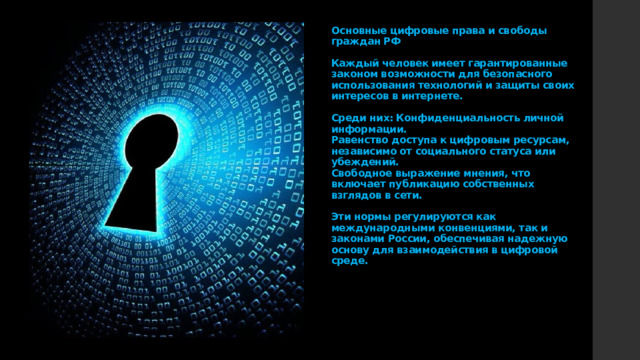 Основные цифровые права и свободы граждан РФ   Каждый человек имеет гарантированные законом возможности для безопасного использования технологий и защиты своих интересов в интернете.   Среди них: Конфиденциальность личной информации.  Равенство доступа к цифровым ресурсам, независимо от социального статуса или убеждений.  Свободное выражение мнения, что включает публикацию собственных взглядов в сети.   Эти нормы регулируются как международными конвенциями, так и законами России, обеспечивая надежную основу для взаимодействия в цифровой среде.         