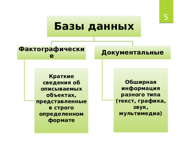  Базы данных Фактографические Документальные Обширная информация разного типа (текст, графика, звук, мультимедиа) Краткие сведения об описываемых объектах, представленные в строго определенном формате 