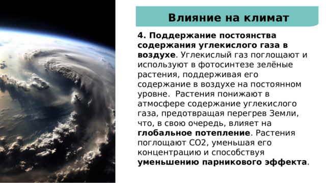 Влияние на климат 4. Поддержание постоянства содержания углекислого газа в воздухе . Углекислый газ поглощают и используют в фотосинтезе зелёные растения, поддерживая его содержание в воздухе на постоянном уровне.  Растения понижают в атмосфере содержание углекислого газа, предотвращая перегрев Земли, что, в свою очередь, влияет на глобальное потепление . Растения поглощают CO2, уменьшая его концентрацию и способствуя уменьшению парникового эффекта . 