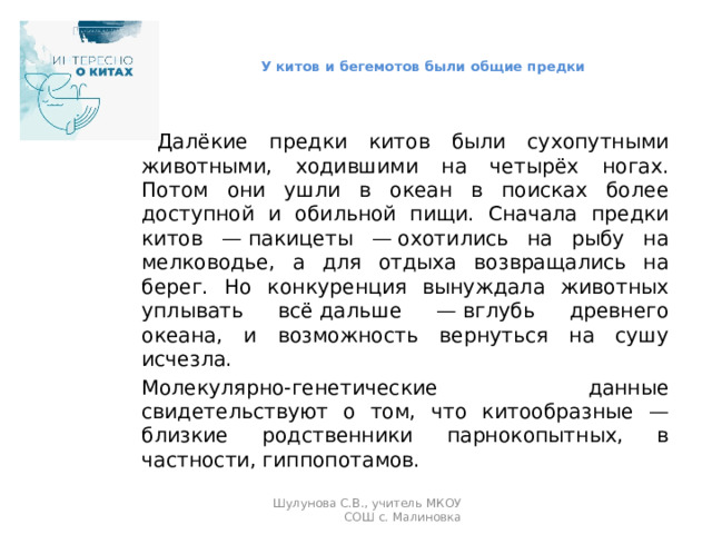    У китов и бегемотов были общие предки       Далёкие предки китов были сухопутными животными, ходившими на четырёх ногах. Потом они ушли в океан в поисках более доступной и обильной пищи. Сначала предки китов — пакицеты — охотились на рыбу на мелководье, а для отдыха возвращались на берег. Но конкуренция вынуждала животных уплывать всё дальше — вглубь древнего океана, и возможность вернуться на сушу исчезла.  Молекулярно-генетические данные свидетельствуют о том, что китообразные — близкие родственники парнокопытных, в частности, гиппопотамов. Шулунова С.В., учитель МКОУ СОШ с. Малиновка 