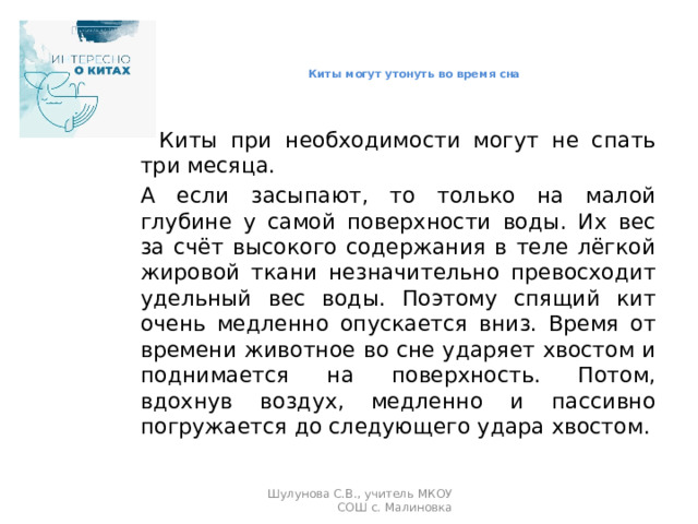    Киты могут утонуть во время сна          Киты при необходимости могут не спать три месяца.  А если засыпают, то только на малой глубине у самой поверхности воды. Их вес за счёт высокого содержания в теле лёгкой жировой ткани незначительно превосходит удельный вес воды. Поэтому спящий кит очень медленно опускается вниз. Время от времени животное во сне ударяет хвостом и поднимается на поверхность. Потом, вдохнув воздух, медленно и пассивно погружается до следующего удара хвостом. Шулунова С.В., учитель МКОУ СОШ с. Малиновка 