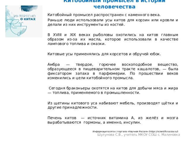 Китобойный промысел в истории человечества Китобойный промысел распространен с каменного века. Раньше люди использовали усы китов для корзин или кровли и делали из них инструменты из костей. В XVIII и XIX веках рыболовы охотились на китов главным образом из-за их масла, которое использовали в качестве лампового топлива и смазки. Китовые усы применялись для корсетов и обручей юбок. Амбра — твердое, горючее воскоподобное вещество, образующееся в пищеварительном тракте кашалотов, — была фиксатором запаха в парфюмерии. По прошествии веков изменились и цели китобойного промысла.  Сегодня браконьеры охотятся на китов для добычи мяса и жира — топлива, применяемого в промышленности. Из щетины китового уса набивают мебель, производят щётки и другие принадлежности. Печень китов  — источник витамина А, из желёз и мозга вырабатываются  гормоны, а именно, инсулин.  Информация взята с портала «Научная Россия» (https://scientificrussia.ru/) Шулунова С.В., учитель МКОУ СОШ с. Малиновка 