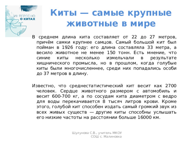 Киты — самые крупные животные в мире В среднем длина кита составляет от 22 до 27 метров, причём самки крупнее самцов. Самый большой кит был пойман в 1926 году: его длина составляла 33 метра, а весило животное не менее 150 тонн. Есть мнение, что синие киты несколько измельчали в результате хищнического промысла, но в прошлом, когда голубые киты были многочисленнее, среди них попадались особи до 37 метров в длину. Известно, что среднестатистический кит весит как 2700 человек. Сердце животного размером с автомобиль и весит 600-700 кг, а по сосудам кита диаметром с ведро для воды перекачивается 8 тысяч литров крови. Кроме этого, голубой кит способен издать самый громкий звук из всех живых существ — другие киты способны услышать его низкие частоты на расстоянии больше 16000 км. Шулунова С.В., учитель МКОУ СОШ с. Малиновка 