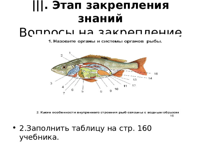 |||. Этап закрепления знаний  Вопросы на закрепление 2.Заполнить таблицу на стр. 160 учебника. 