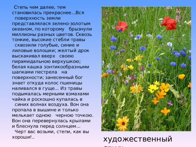  Степь чем далее, тем становилась прекраснее…Вся   поверхность земли представлялася зелено-золотым океаном, по которому   брызнули миллионы разных цветов. Сквозь тонкие, высокие стебли травы   сквозили голубые, синие и лиловые волошки; желтый дрок выскакивал вверх   своею пирамидальною верхушкою; белая кашка зонтикообразными шапками пестрела   на поверхности; занесенный бог знает откуда колос пшеницы наливался в гуще… Из травы подымалась мерными взмахами чайка и роскошно купалась в   синих волнах воздуха. Вон она пропала в вышине и только мелькает одною   черною точкою. Вон она перевернулась крылами и блеснула перед солнцем...   Черт вас возьми, степи, как вы хороши!.. художественный стиль 