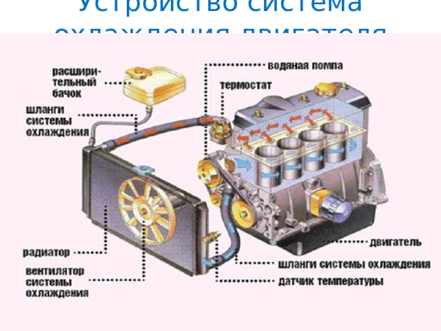 Устройство система охлаждения двигателя 