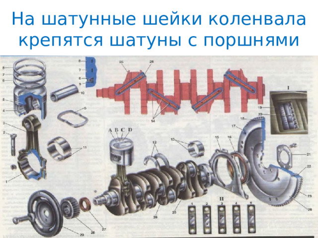 На шатунные шейки коленвала крепятся шатуны с поршнями 