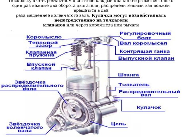  Поскольку в четырехтактном двигателе каждый клапан открывается только  один раз каждые два оборота двигателя, распределительный вал должен вращаться в два  раза медленнее коленчатого вала. Кулачки могут воздействовать непосредственно на толкатели  клапанов или через коромысла или рычаги   Учебник МАДИ Основы конструкции автомобиля, Глава 2 Двигатель, стр. 62, Иванов A.M., Солнцев А.Н., Гаевский В.В.    