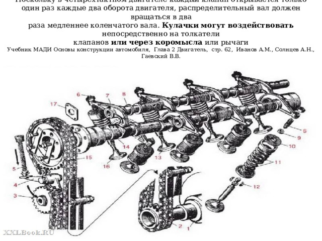Поскольку в четырехтактном двигателе каждый клапан открывается только  один раз каждые два оборота двигателя, распределительный вал должен вращаться в два  раза медленнее коленчатого вала. Кулачки могут воздействовать непосредственно на толкатели  клапанов или через коромысла или рычаги  Учебник МАДИ Основы конструкции автомобиля, Глава 2 Двигатель, стр. 62, Иванов A.M., Солнцев А.Н., Гаевский В.В. 