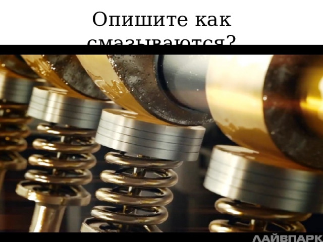 Опишите как смазываются? 