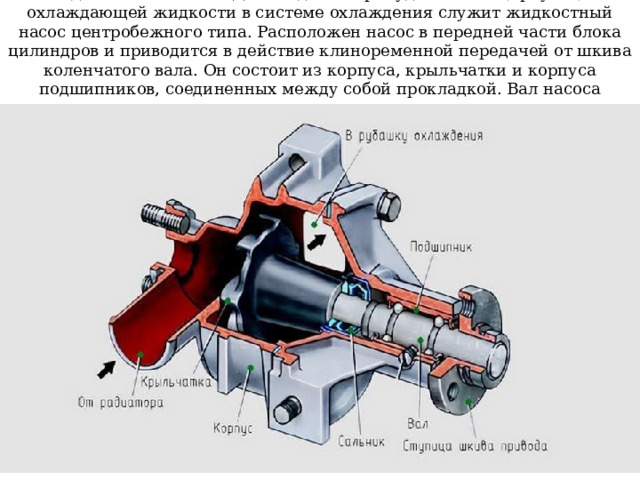 Жидкостный насос. Для создания принудительной циркуляции охлаждающей жидкости в системе охлаждения служит жидкостный насос центробежного типа. Расположен насос в передней части блока цилиндров и приводится в действие клиноременной передачей от шкива коленчатого вала. Он состоит из корпуса, крыльчатки и корпуса подшипников, соединенных между собой прокладкой. Вал насоса вращается в двух шарикоподшипниках 
