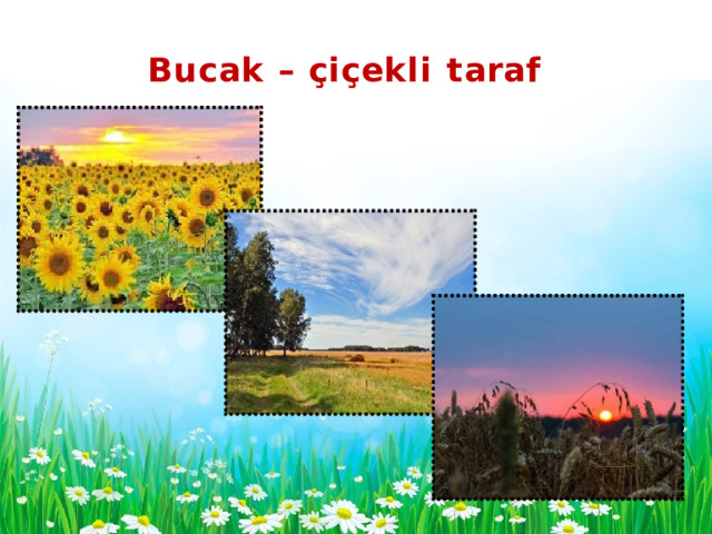 B u c a k  –  ç i ç e k li  t a r a f 