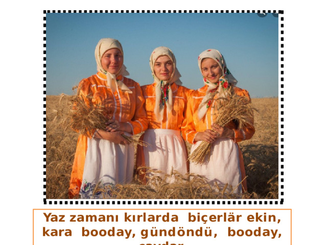 Yaz zamanı kırlarda  biçerlär ekin, kara  booday,  gündöndü,  booday,  çavdar. 