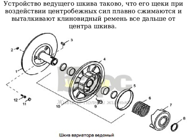 Устройство ведущего шкива таково, что его щеки при воздействии центробежных сил плавно сжимаются и выталкивают клиновидный ремень все дальше от центра шкива.  