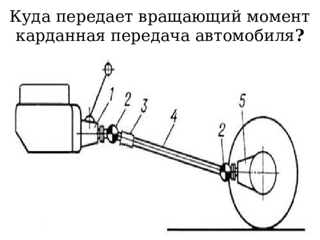 Куда передает вращающий момент карданная передача автомобиля ? 