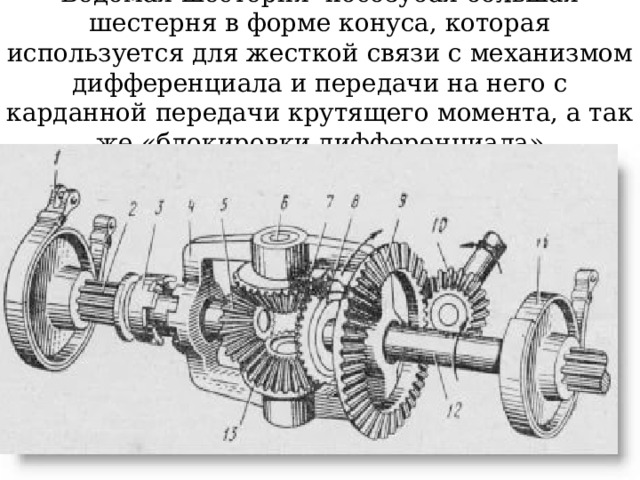 Ведомая шестерня- косозубая большая шестерня в форме конуса, которая используется для жесткой связи с механизмом дифференциала и передачи на него с карданной передачи крутящего момента, а так же «блокировки дифференциала» 