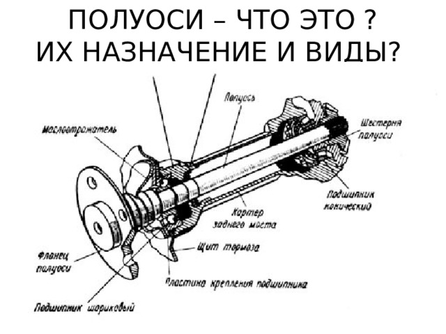 ПОЛУОСИ – ЧТО ЭТО ?  ИХ НАЗНАЧЕНИЕ И ВИДЫ? 