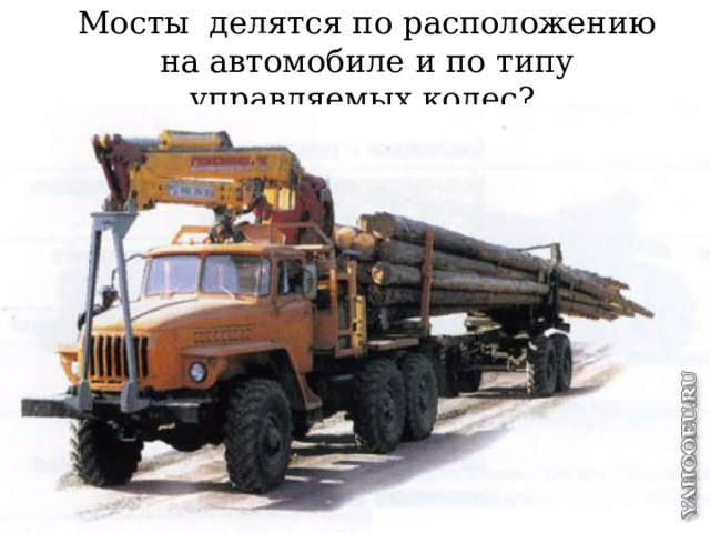 Мосты делятся по расположению на автомобиле и по типу управляемых колес? 
