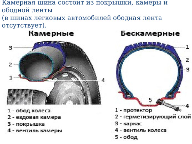 Камерная шина состоит из покрышки , камеры и ободной ленты   (в шинах легковых автомобилей ободная лента отсутствует). 