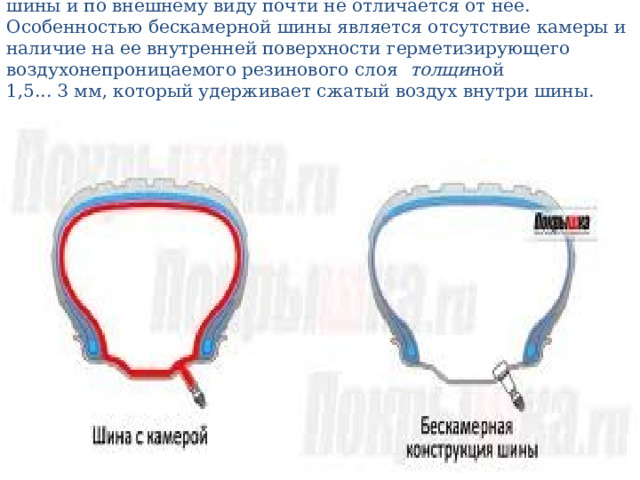 Бескамерная шина по устройству близка к покрышке камерной шины и по внешнему виду почти не отличается от нее. Особенностью бескамерной шины является отсутствие камеры и наличие на ее внутренней поверхности герметизирующего воздухонепроницаемого резинового слоя толщи ной  1,5... 3 мм, который удерживает сжатый воздух внутри шины. 
