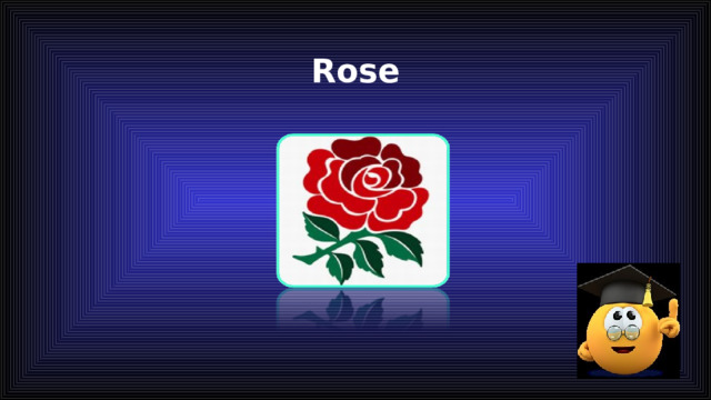 Rose 