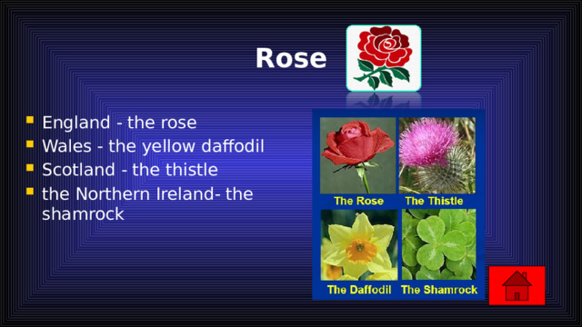 Rose England - the rose Wales - the yellow daffodil Scotland - the thistle the Northern Ireland- the shamrock 