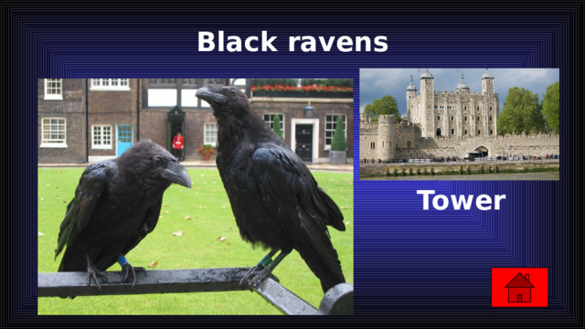 Black ravens   Tower 