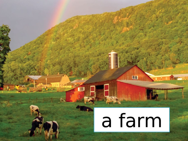 a farm 