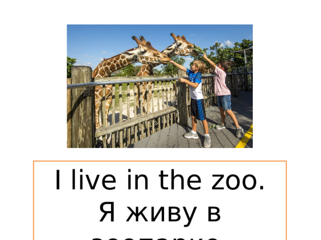 I live in the zoo. Я живу в зоопарке. 
