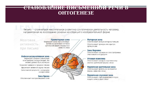 Становление письменной речи в онтогенезе   