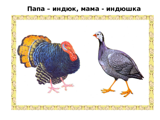 Папа – индюк, мама - индюшка 