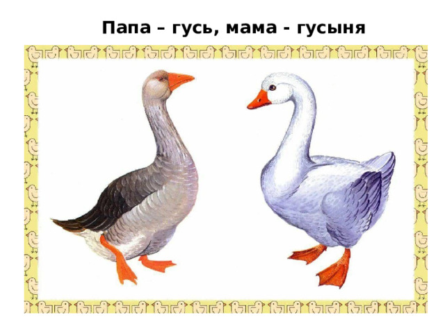 Папа – гусь, мама - гусыня 