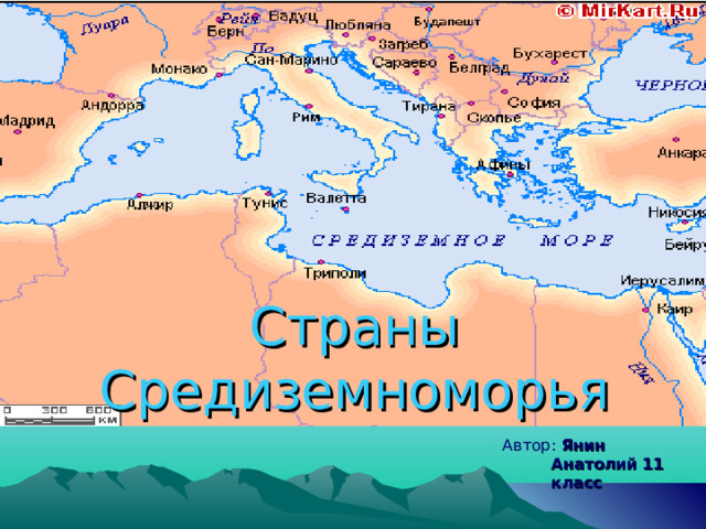 Страны Средиземноморья Автор : Янин Анатолий  11 класс 