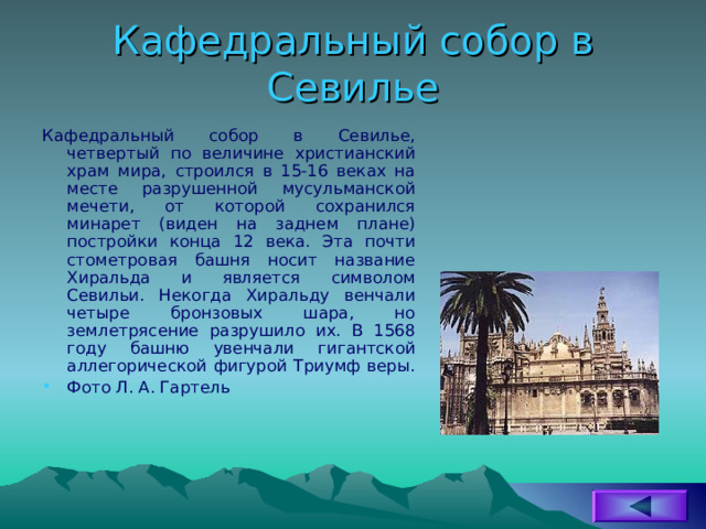 Кафедральный собор в Севилье Кафедральный собор в Севилье, четвертый по величине христианский храм мира, строился в 15-16 веках на месте разрушенной мусульманской мечети, от которой сохранился минарет (виден на заднем плане) постройки конца 12 века. Эта почти стометровая башня носит название Хиральда и является символом Севильи. Некогда Хиральду венчали четыре бронзовых шара, но землетрясение разрушило их. В 1568 году башню увенчали гигантской аллегорической фигурой Триумф веры. Фото Л. А. Гартель 