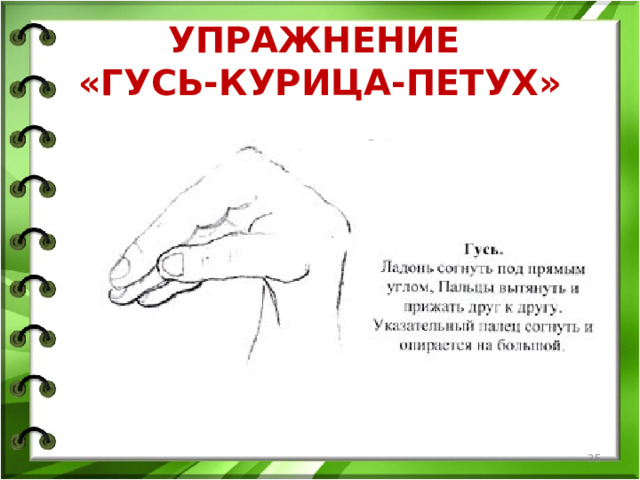 УПРАЖНЕНИЕ  «ГУСЬ-КУРИЦА-ПЕТУХ»  